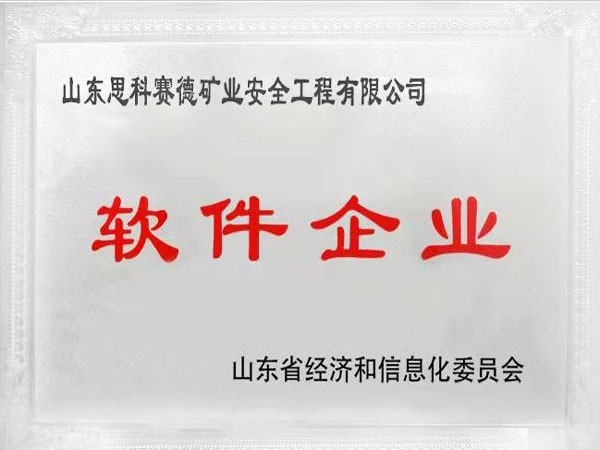 软件企业.jpg